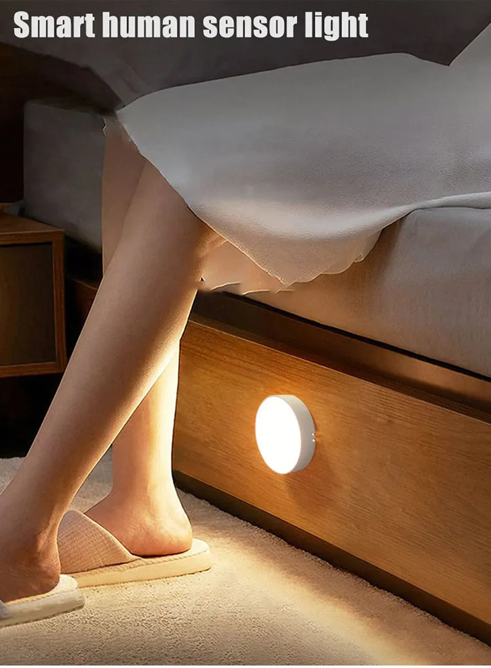 Motion Sensor LED Light