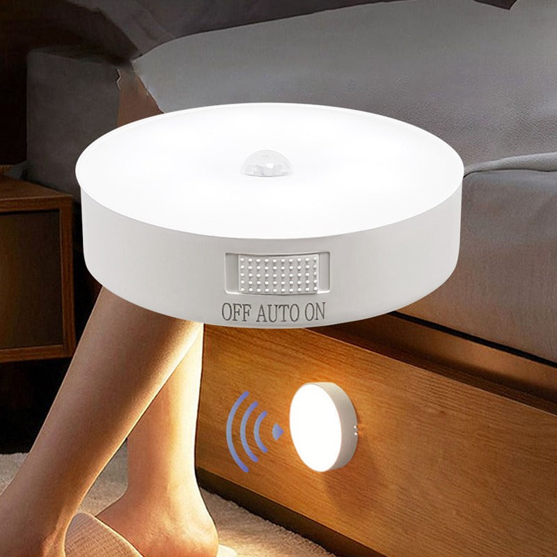 Motion Sensor LED Light